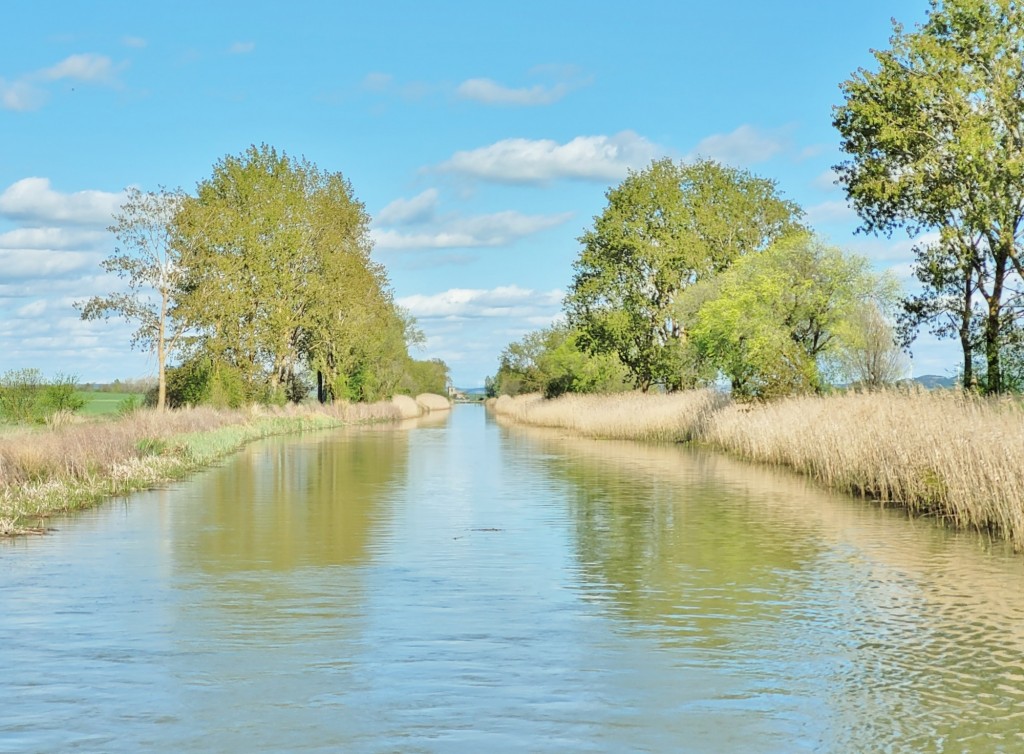 Foto: Canal de Castilla - Frómista (Palencia), España