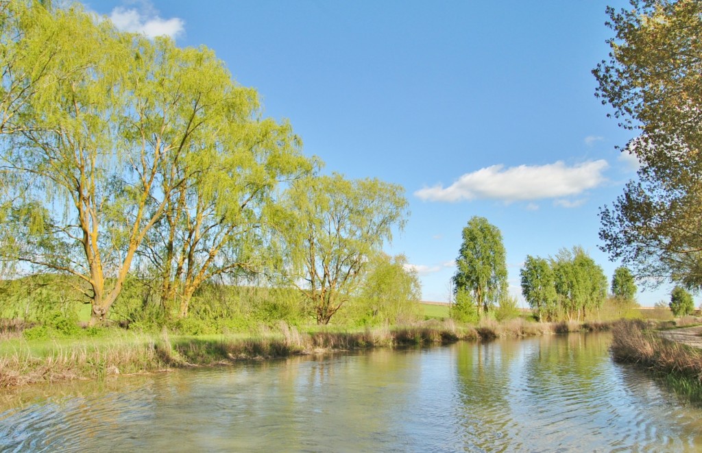 Foto: Canal de Castilla - Frómista (Palencia), España
