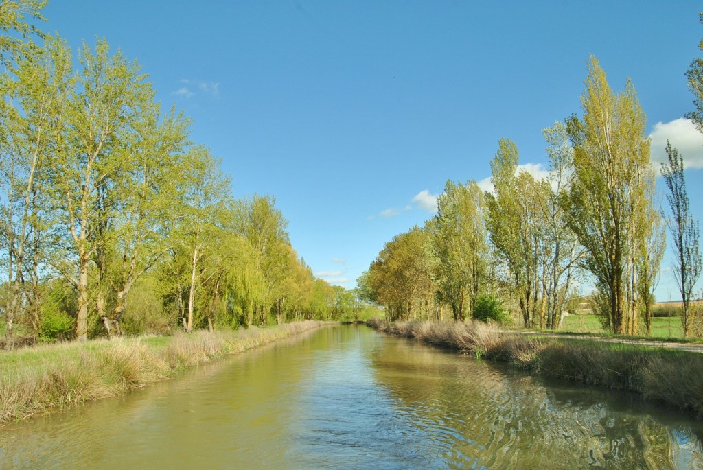 Foto: Canal de Castilla - Frómista (Palencia), España