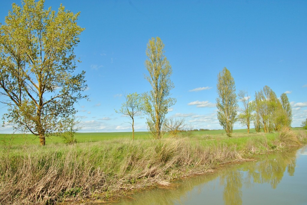 Foto: Canal de Castilla - Frómista (Palencia), España