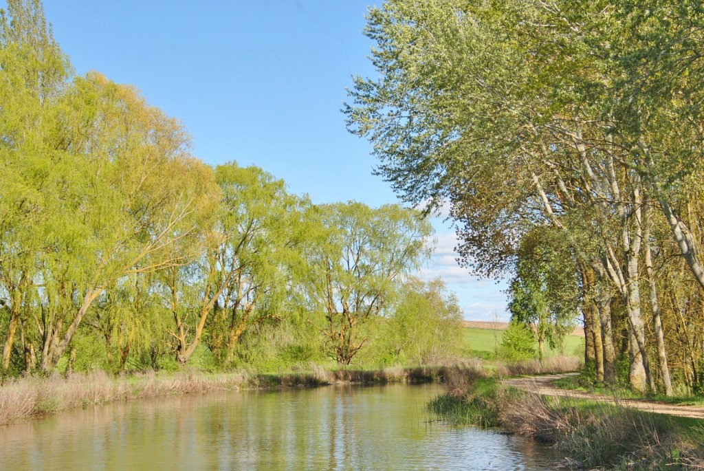 Foto: Canal de Castilla - Frómista (Palencia), España