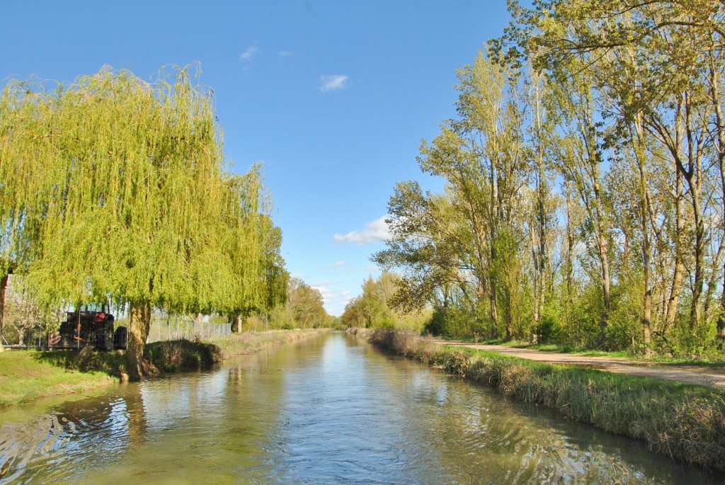 Foto: Canal de Castilla - Frómista (Palencia), España