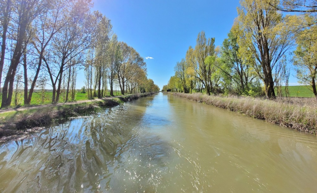 Foto: Canal de Castilla - Frómista (Palencia), España