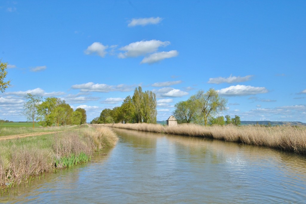 Foto: Canal de Castilla - Frómista (Palencia), España