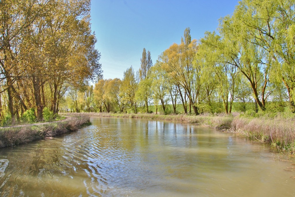 Foto: Canal de Castilla - Frómista (Palencia), España