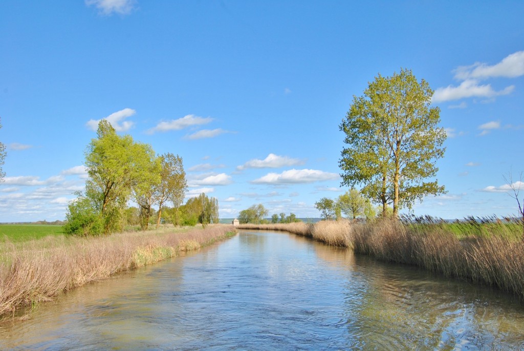 Foto: Canal de Castilla - Frómista (Palencia), España
