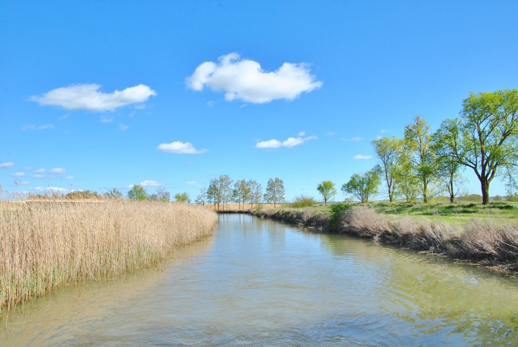 Foto: Canal de Castilla - Frómista (Palencia), España