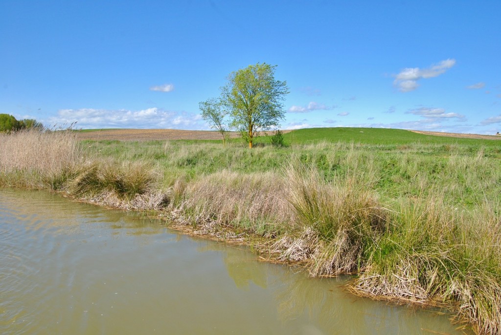 Foto: Canal de Castilla - Frómista (Palencia), España