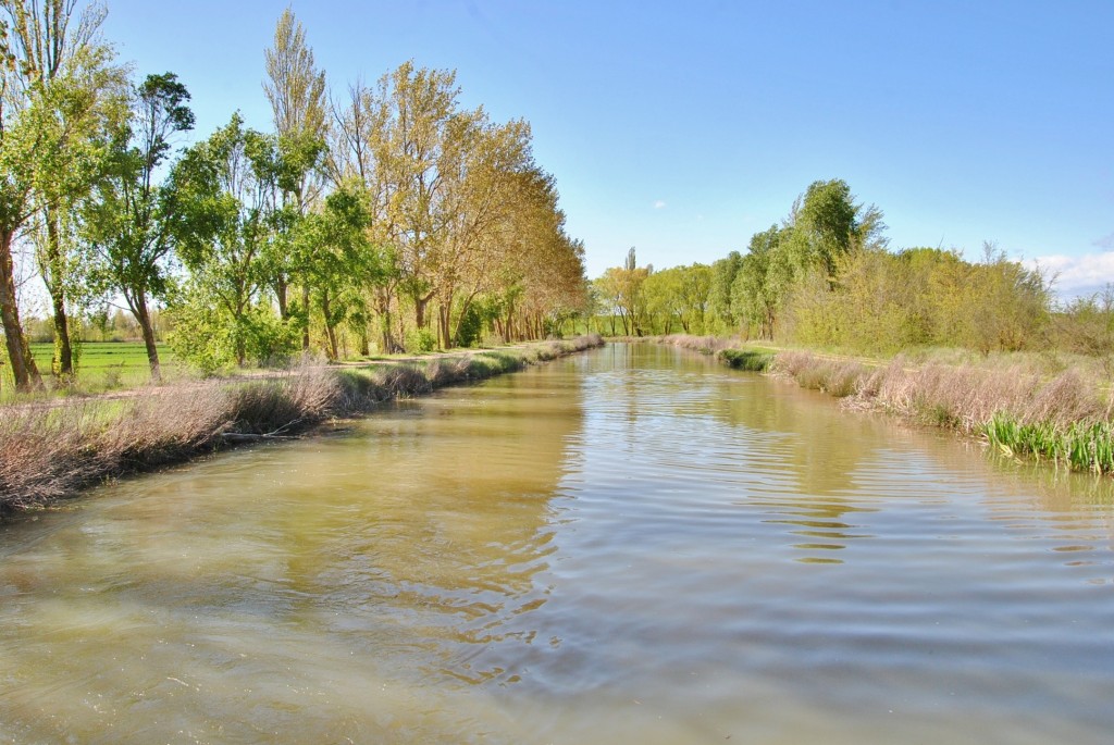 Foto: Canal de Castilla - Frómista (Palencia), España