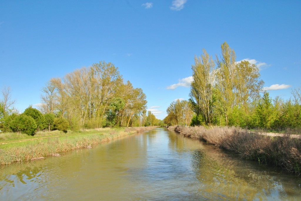 Foto: Canal de Castilla - Frómista (Palencia), España
