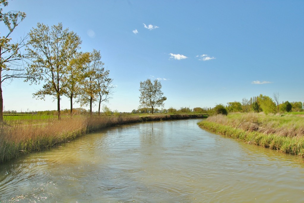 Foto: Canal de Castilla - Frómista (Palencia), España
