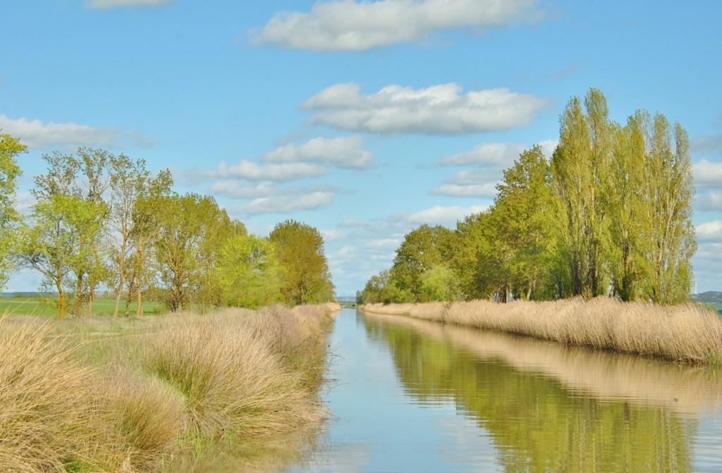 Foto: Canal de Castilla - Frómista (Palencia), España