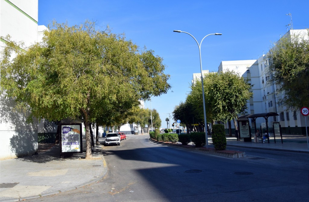 Foto: Avenida Manuela Medina - Cádiz (Andalucía), España
