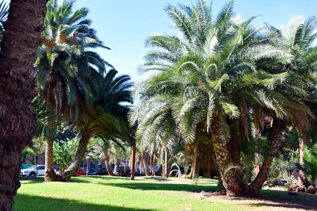 Foto de Cádiz (Andalucía), España