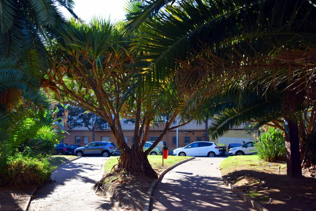 Foto de Cádiz (Andalucía), España