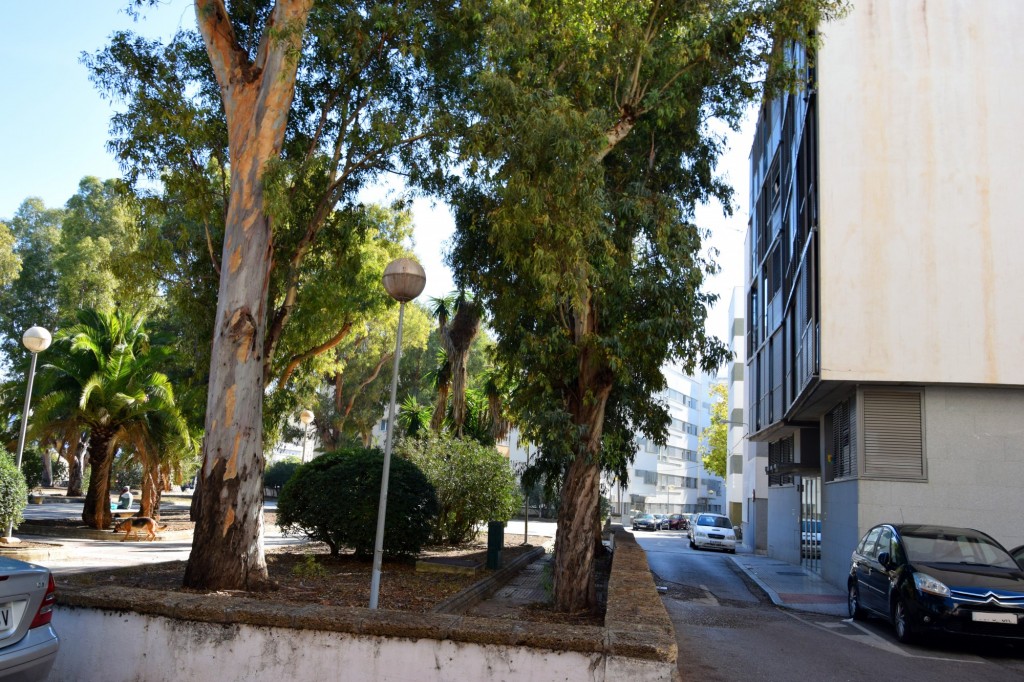 Foto: Calle Coimbra - Cádiz (Andalucía), España