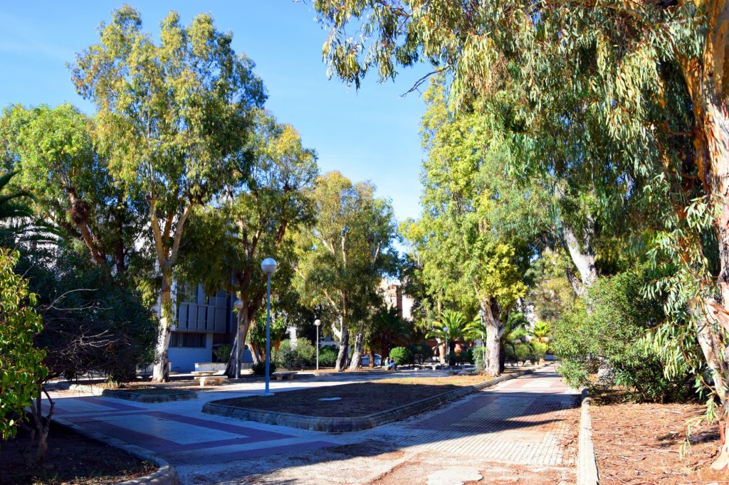 Foto: Parque cementerio de los Ingleses - Cádiz (Andalucía), España