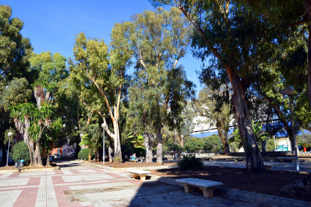 Foto: Parque de los Ingleses - Cádiz (Andalucía), España