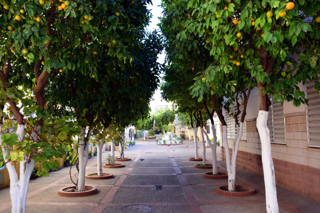 Foto: Calle Cantiña - Cádiz (Andalucía), España