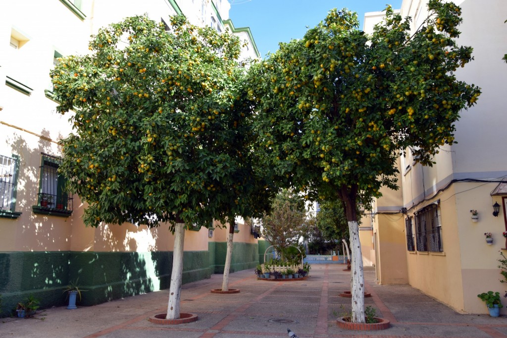 Foto de Cádiz (Andalucía), España