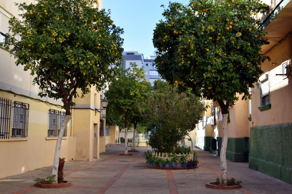 Foto de Cádiz (Andalucía), España