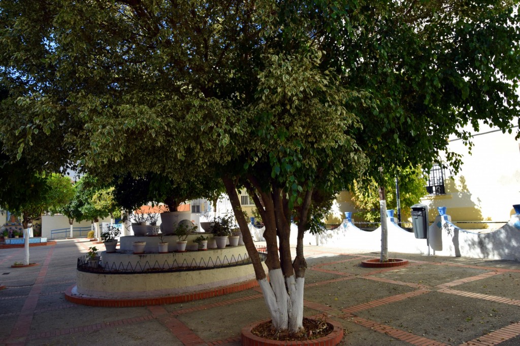 Foto de Cádiz (Andalucía), España