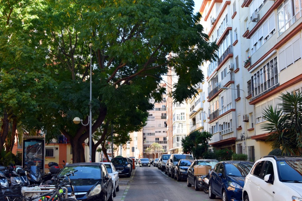 Foto: Calle Fantasía Bética - Cádiz (Andalucía), España