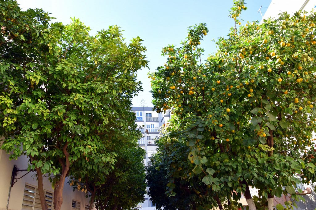 Foto de Cádiz (Andalucía), España
