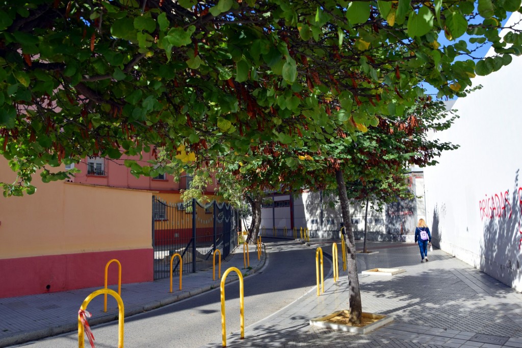 Foto: Calle Ramón Grosso - Cádiz (Andalucía), España