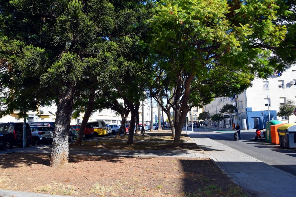 Foto: Alcalde Blazquez - Cádiz (Andalucía), España