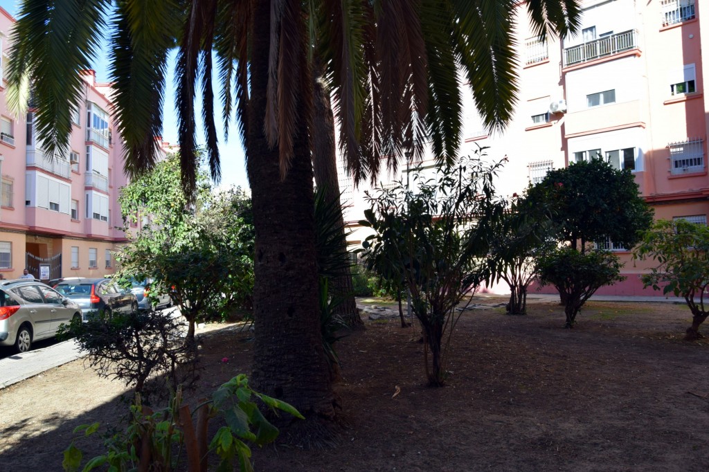 Foto: Plazuela Fariñas Ferreños - Cádiz (Andalucía), España