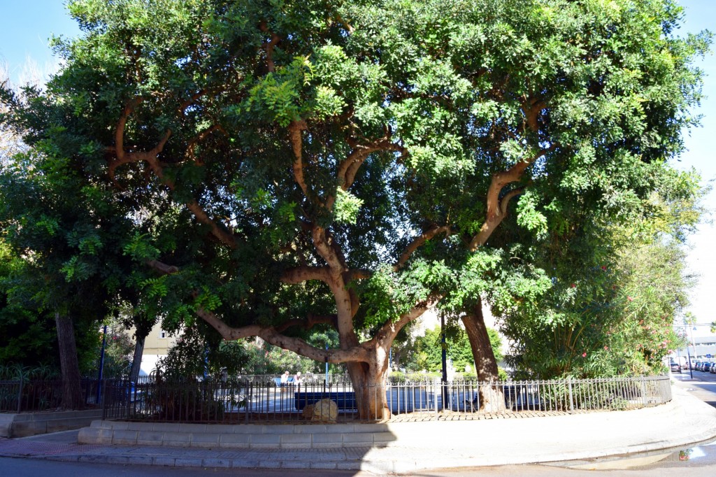 Foto: Plaza San Lorenzo del Puntal - Cádiz (Andalucía), España