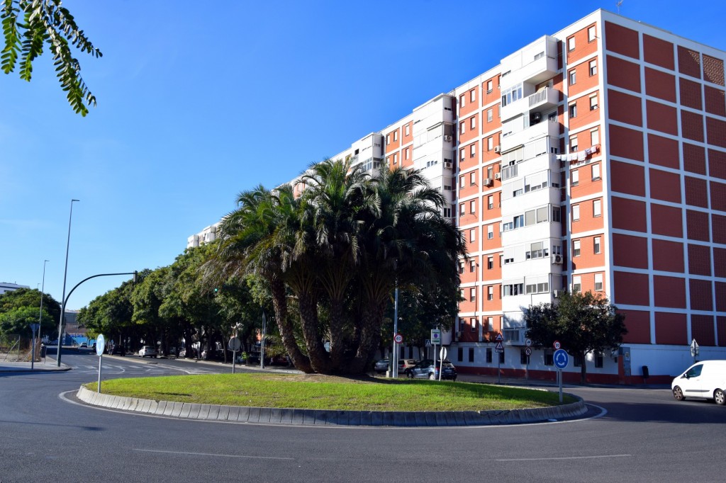 Foto: Rotonda Avdª. Ronda de Vigilancia - Cádiz (Andalucía), España