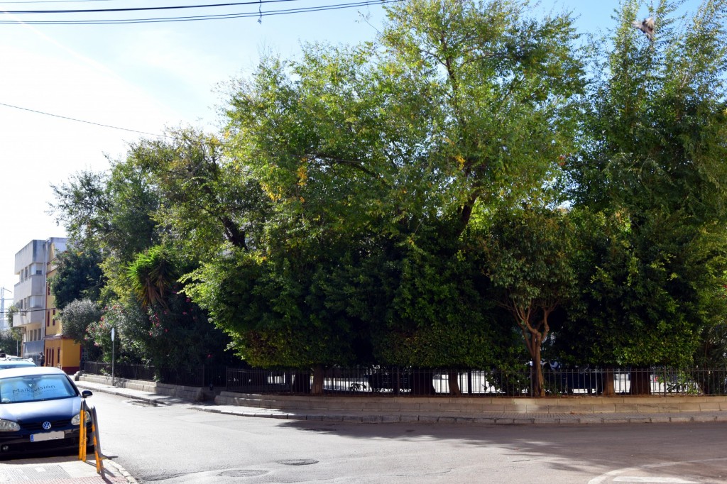 Foto: Plaza San Lorenzo del Puntal - Cádiz (Andalucía), España