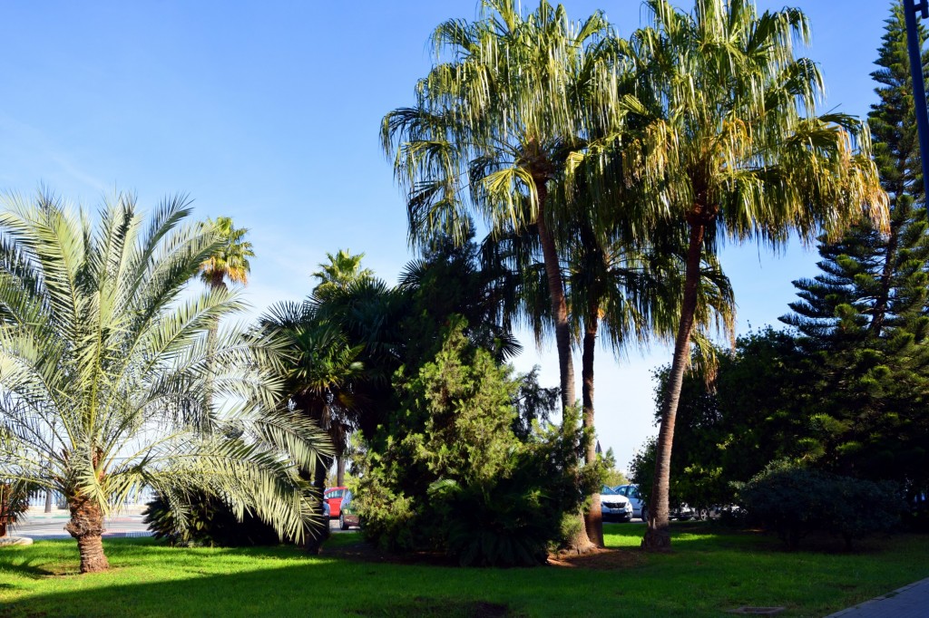 Foto de Cádiz (Andalucía), España