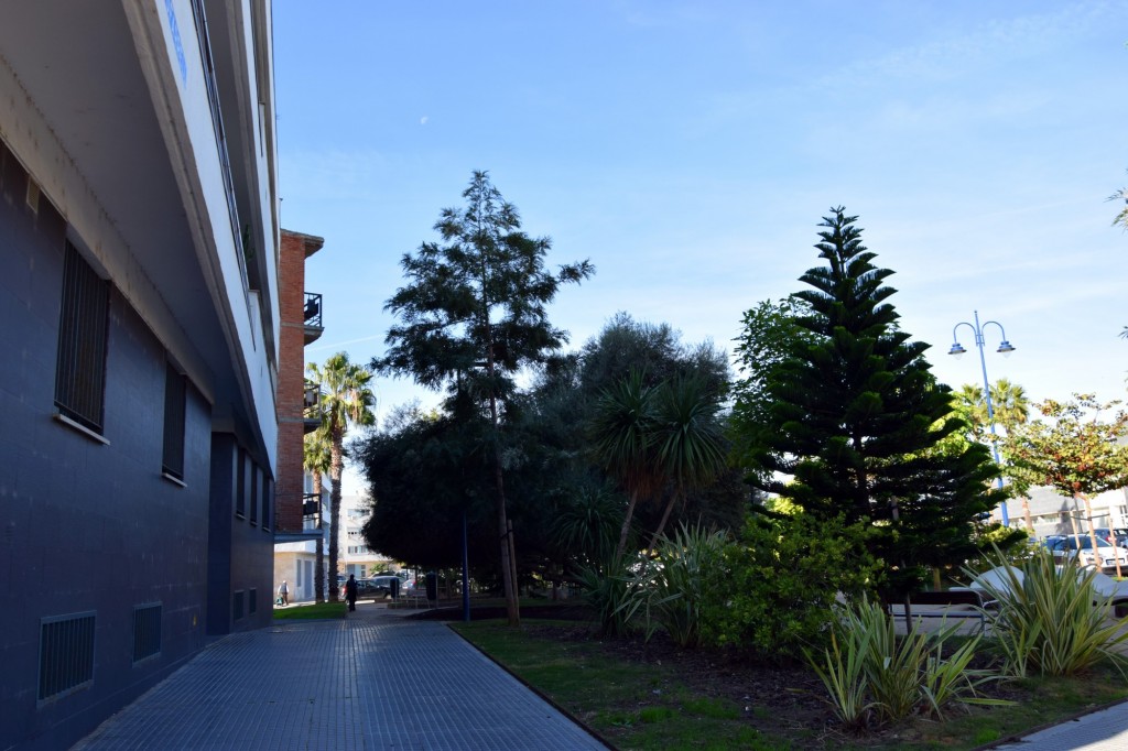 Foto: Nuevos edificios de E.M.Ofarrell - Cádiz (Andalucía), España