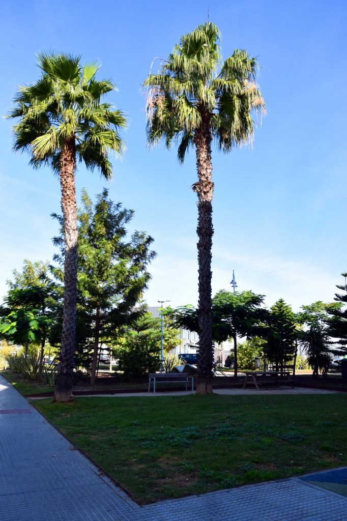 Foto: Parque Puntal de la Bahía - Cádiz (Andalucía), España