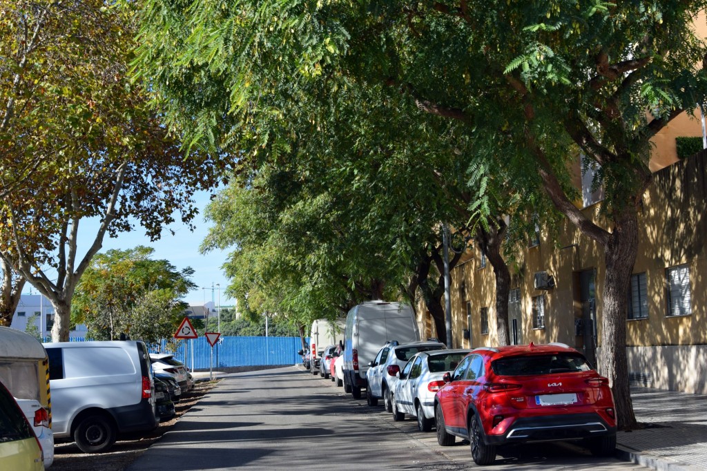 Foto: Calle Salvador Viniegra y Valdés - Cádiz (Andalucía), España