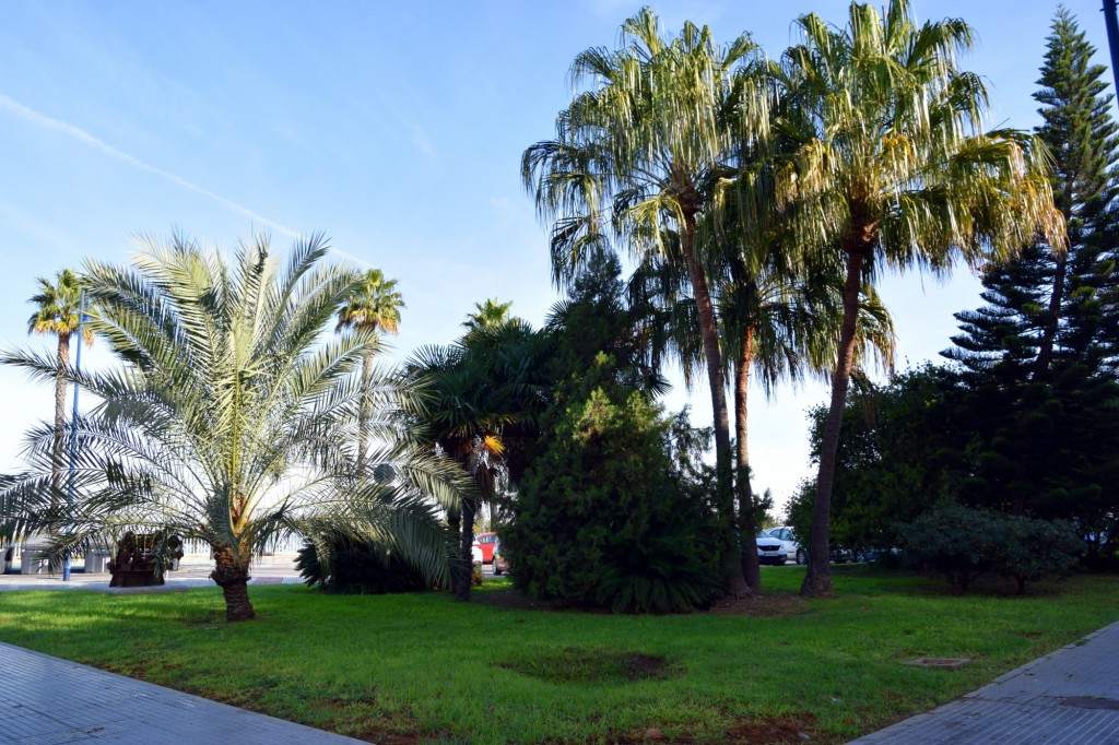 Foto de Cádiz (Andalucía), España