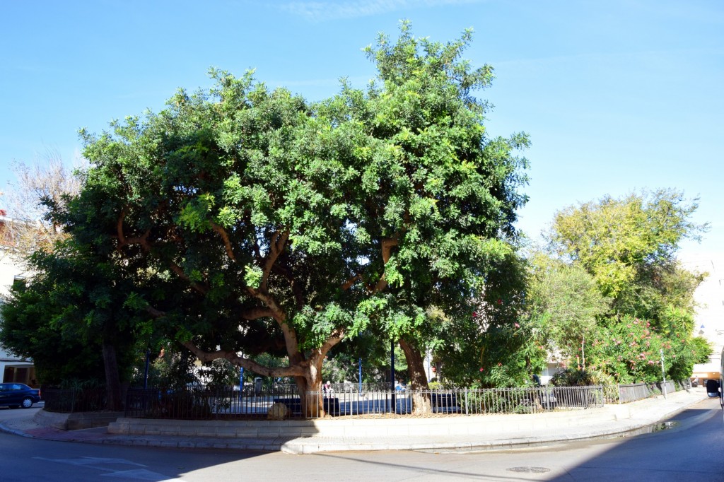 Foto: Plaza San Lorenzo del Puntal - Cádiz (Andalucía), España
