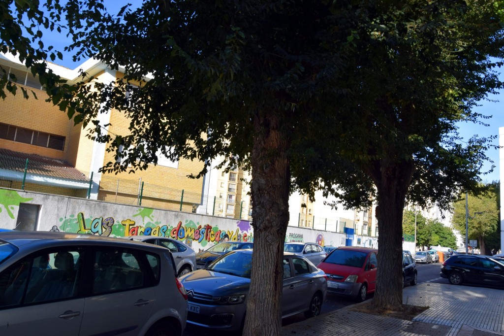Foto: Calle Barbate - Cádiz (Andalucía), España