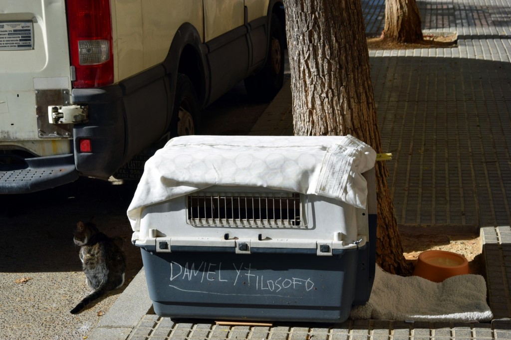 Foto: Apartamento gatuno - Cádiz (Andalucía), España