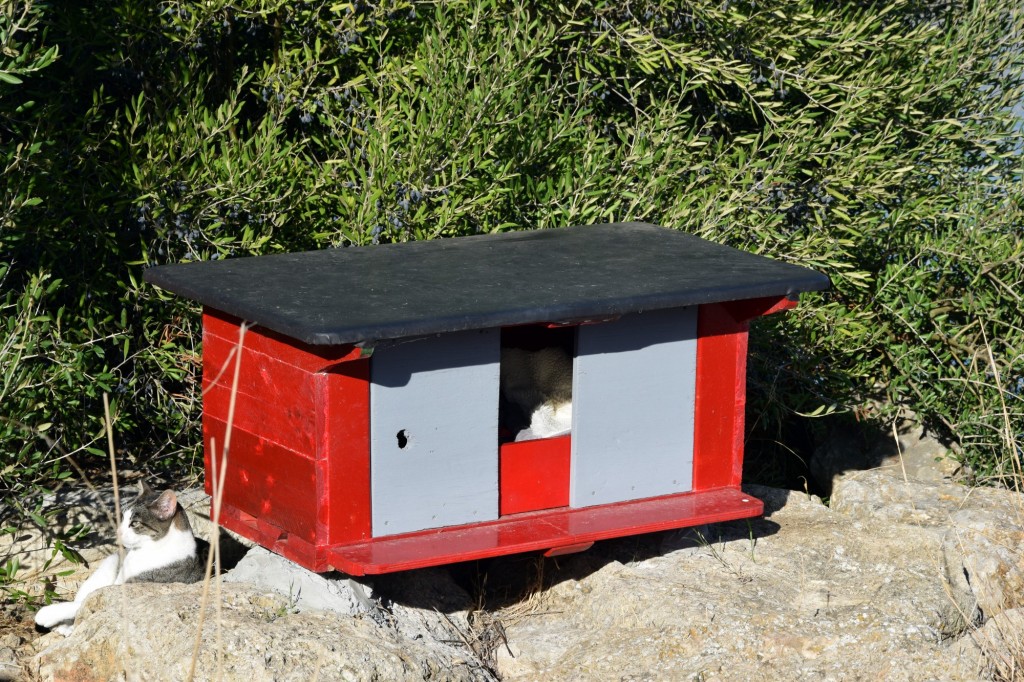 Foto de Cádiz (Andalucía), España