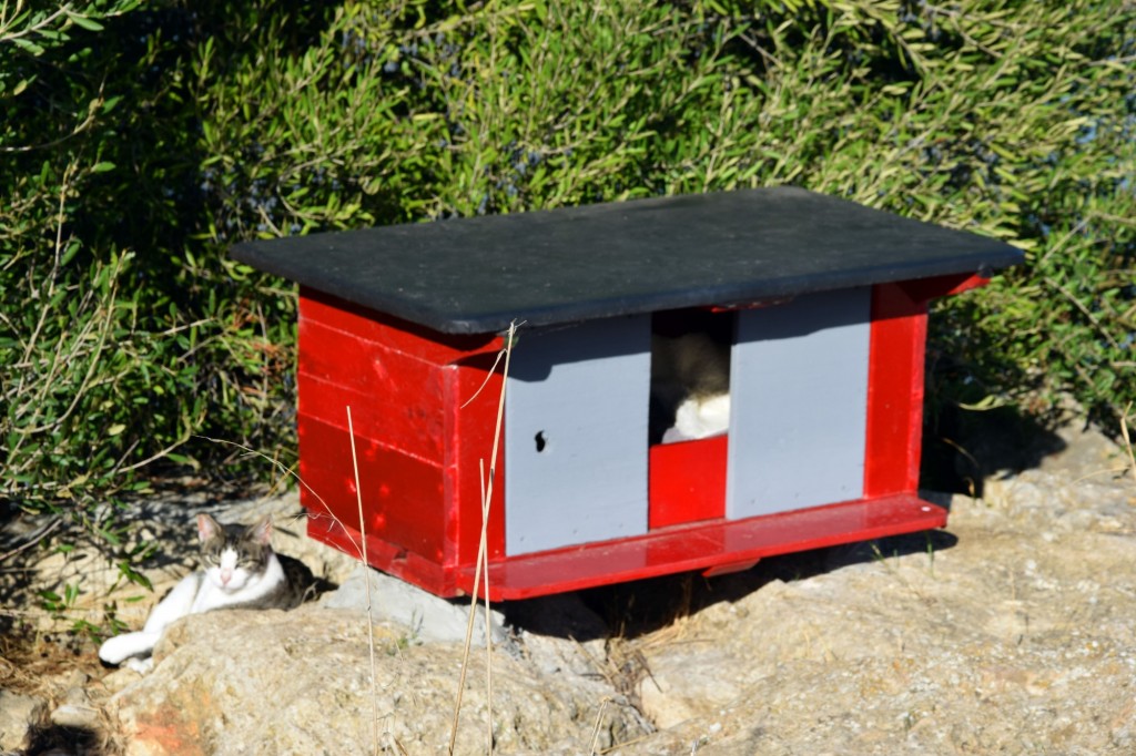 Foto de Cádiz (Andalucía), España