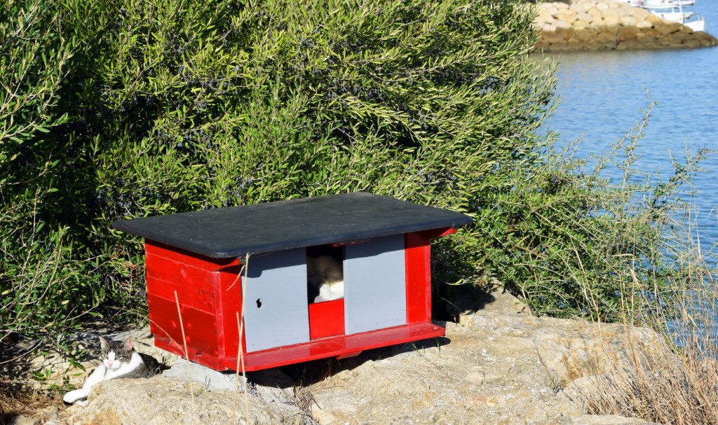 Foto de Cádiz (Andalucía), España