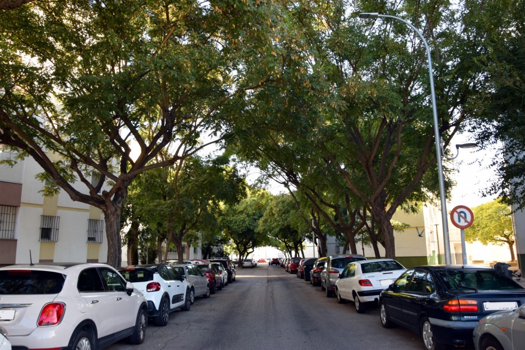 Foto: Bloques de Astilleros - Cádiz (Andalucía), España