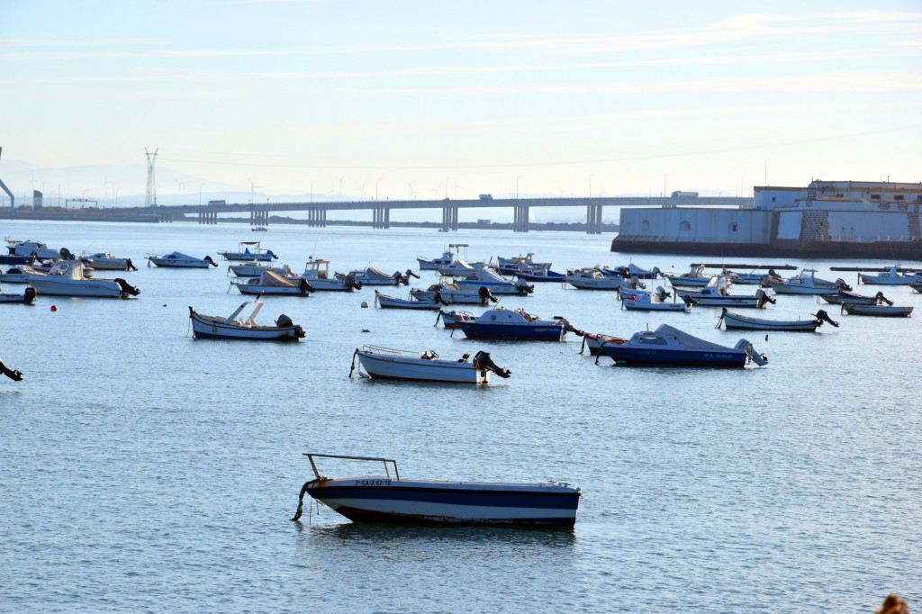 Foto: Avdª. de la Bahía y Puente Carranza - Cádiz (Andalucía), España