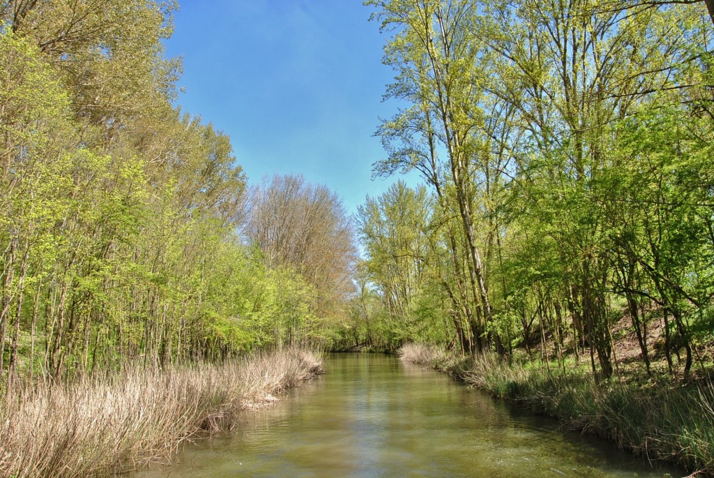 Foto: Canal de Castilla - Herrera de Pisuerga (Palencia), España