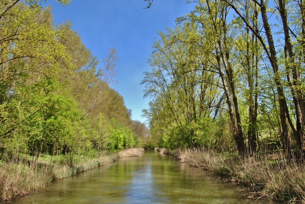 Foto: Canal de Castilla - Herrera de Pisuerga (Palencia), España