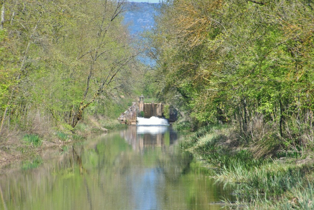 Foto: Canal de Castilla - Herrera de Pisuerga (Palencia), España